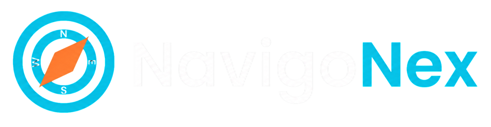 NavigoNex Logo